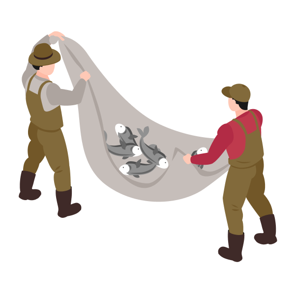 fisher-isometric icon