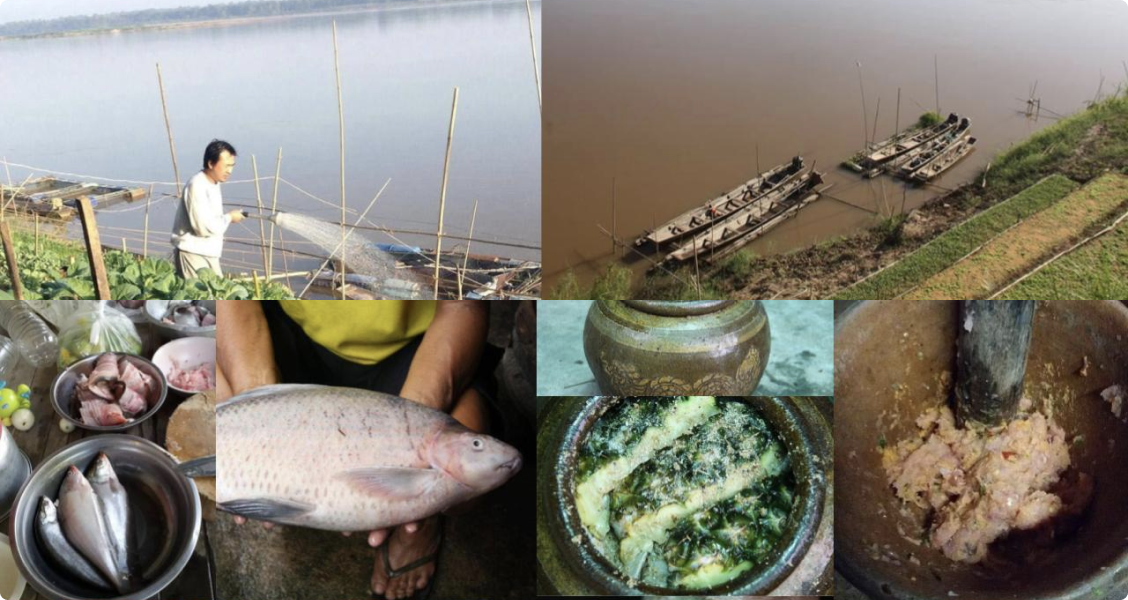 Mekong 4 frames